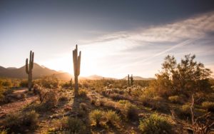 Plastic Surgeon Dr. Shaun Parson | Scottsdale Plastic Surgery Fly In Program