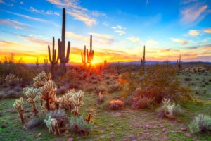 Plastic Surgeon Dr. Shaun Parson | Scottsdale Plastic Surgery Fly In Program