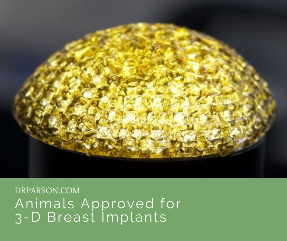 Animals Approved for 3-D Breast Implants | Dr. Shaun Parson, Scottsdale